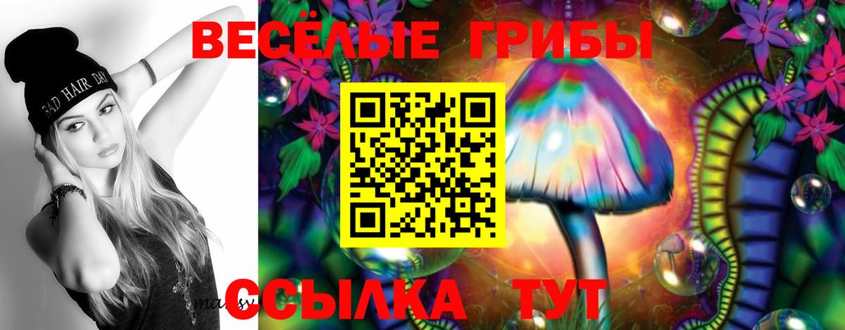 Галлюциногенные грибы прущие грибы Сегежа