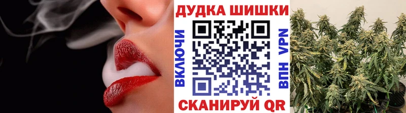 МЕГА как войти  где найти   Сегежа  Конопля гибрид 